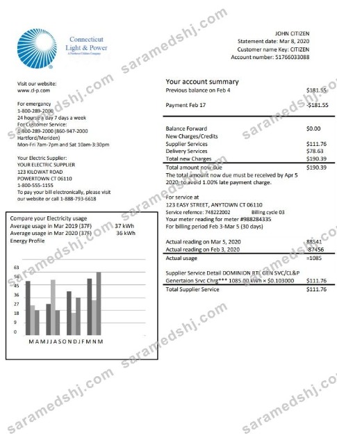 USA Connecticut Light & Power electricity utility bill in Word and PDF format